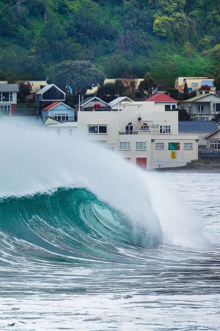 274 Queens Drive Lyall Bay_16
