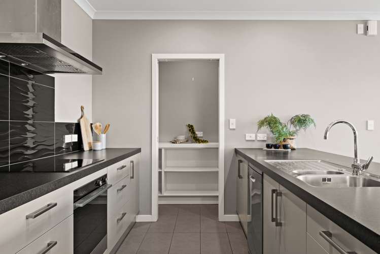 224 Avondale Road Greenmeadows_6