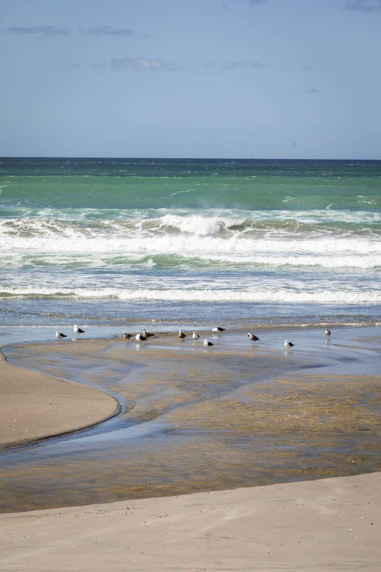 7 Seaforth Road Waihi Beach_25