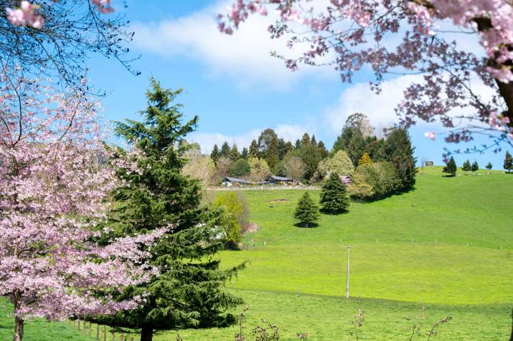 1211 Waikite Valley Road Waikite Valley_1