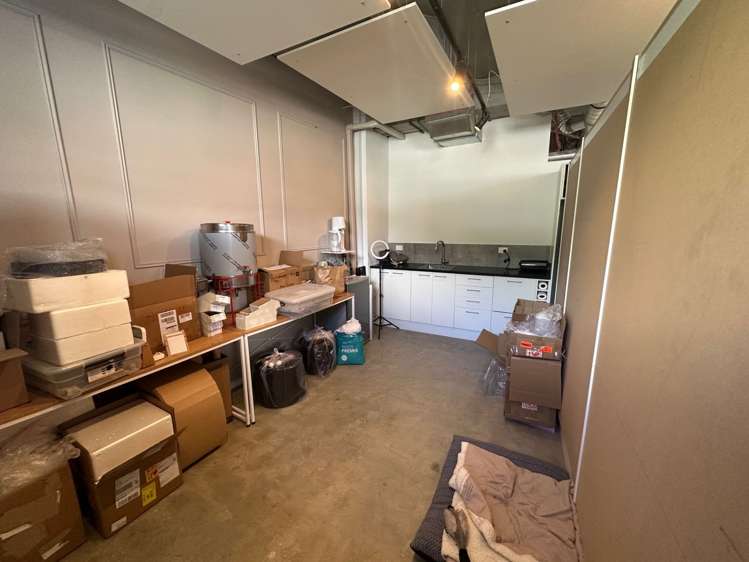 3 Redmond Street Ponsonby_8