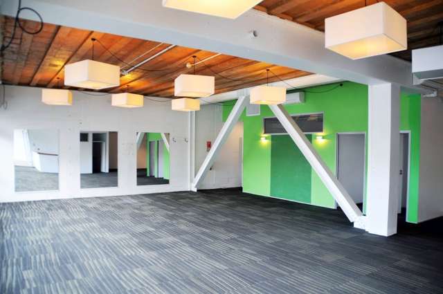 17 Maidstone Street Ponsonby_3