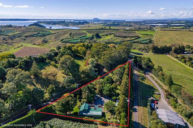 73 Stewart Road Whakamarama_1