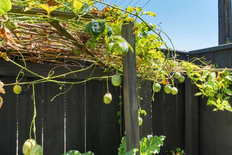 47 Parris Street Waitara_23