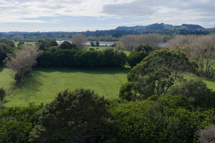 59 Harper Road Hautere_11