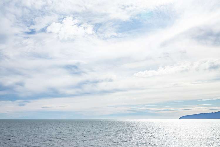 1598 Cape Palliser Road Cape Palliser_24