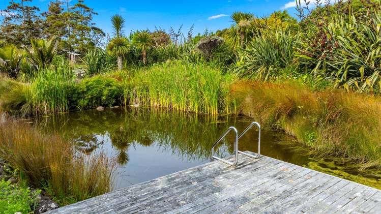 87 M Greenwood Road Leigh_24