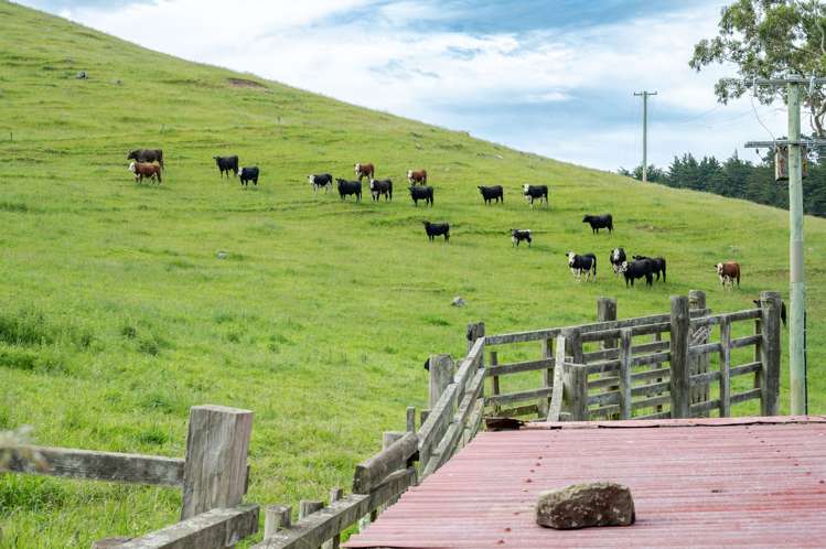 350 Pigeon Bay Road Pigeon Bay_10