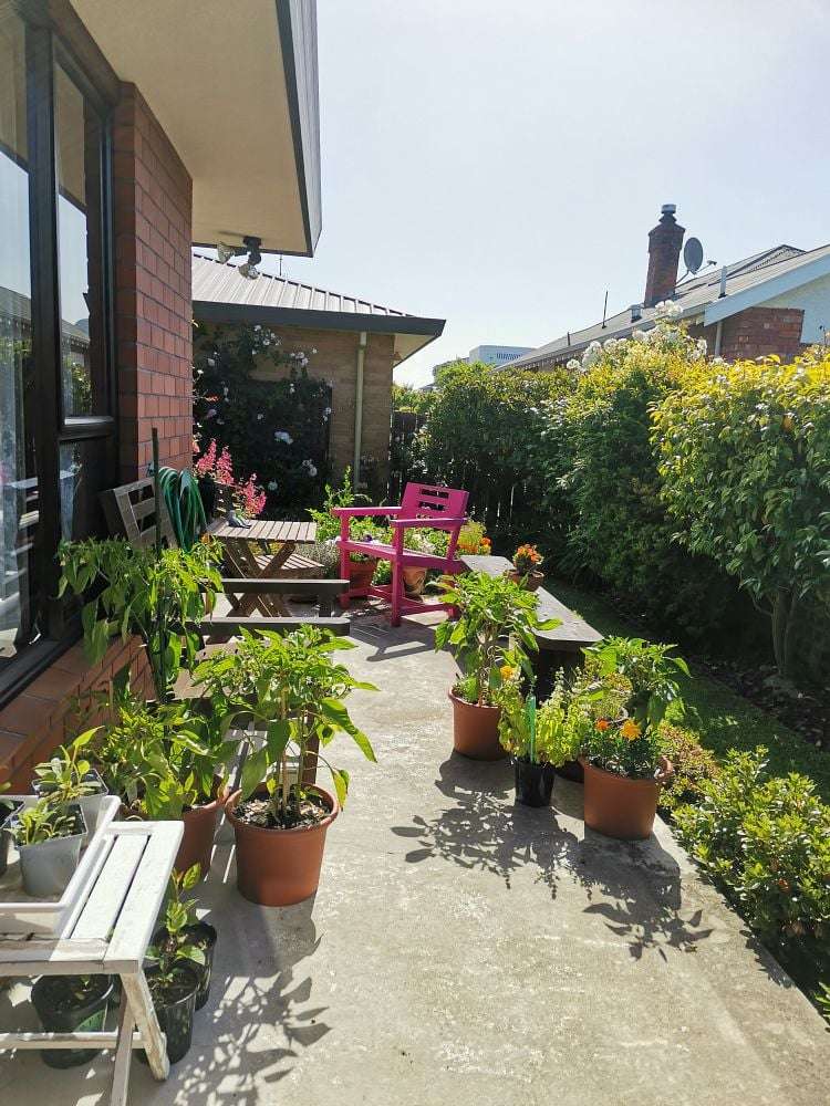 4/93 Avenue Road West End_13