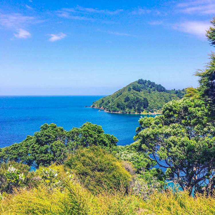 137 Sandhills Road Great Barrier Island_27