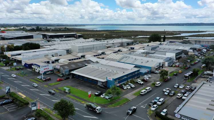 367 Rosebank Road Avondale_8