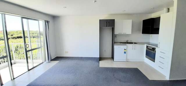 4/15 Bishop Lenihan Place East Tamaki_1