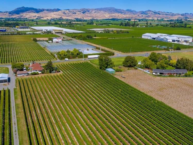 202 Old Renwick Road Springlands_2