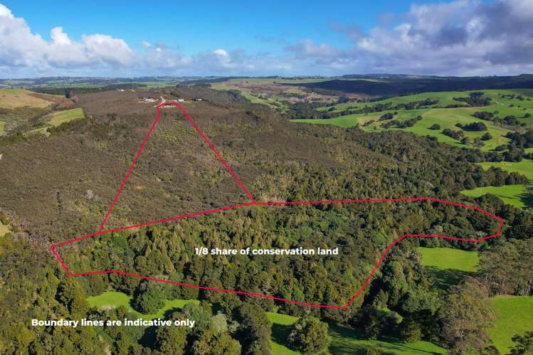 145 Ridge Way Kerikeri Surrounds_29