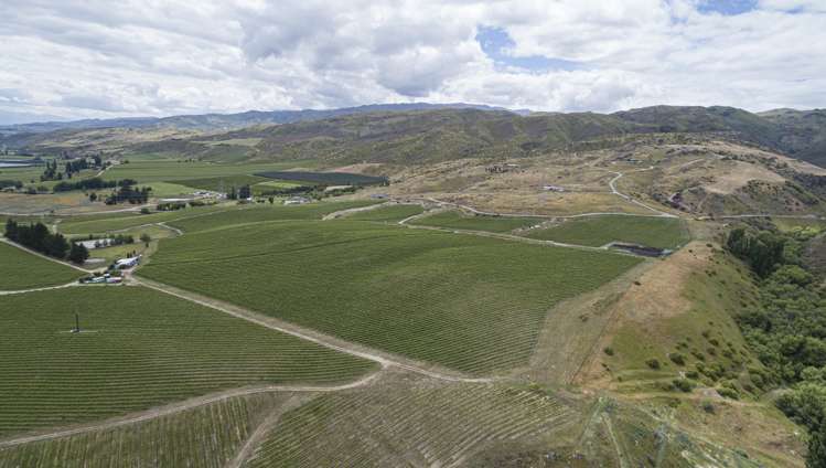 Cairnmuir Road Nevis_9