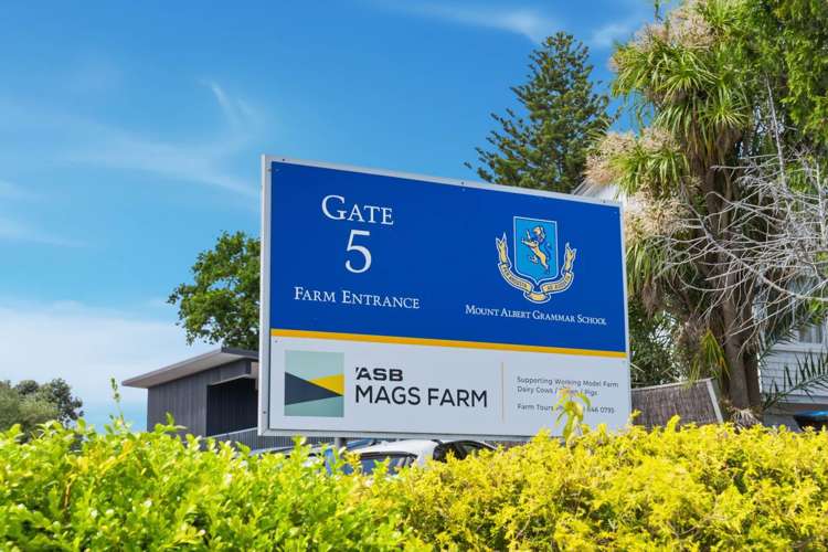 75 Alberton Avenue Mount Albert_34