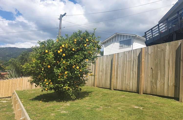 84 Scotland Street Picton_24