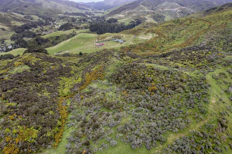 525A Makara Road Makara_13