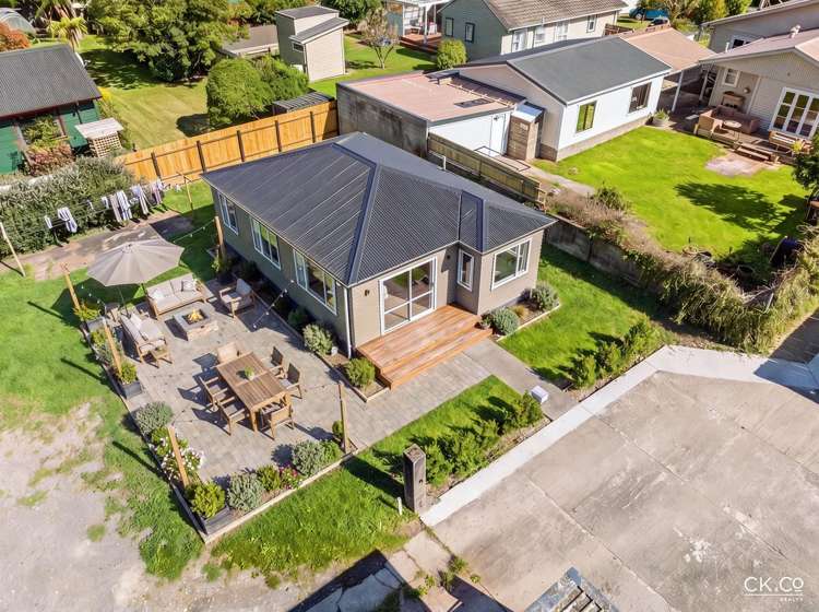 15B Black Beech Birchville_5