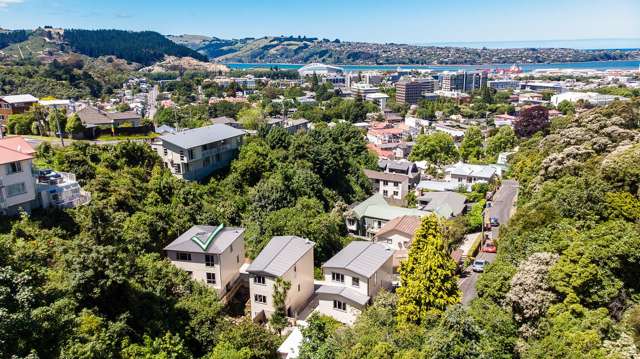 16b Cosy Dell Road North Dunedin_2