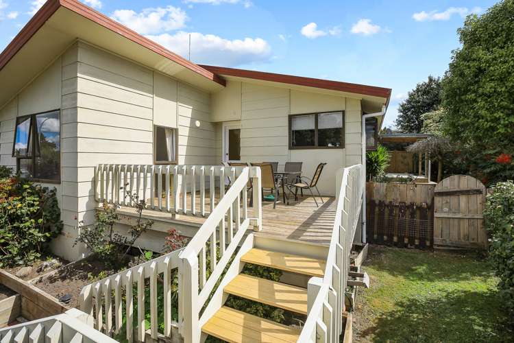 46 Kowhai Street Hamilton Lake_0