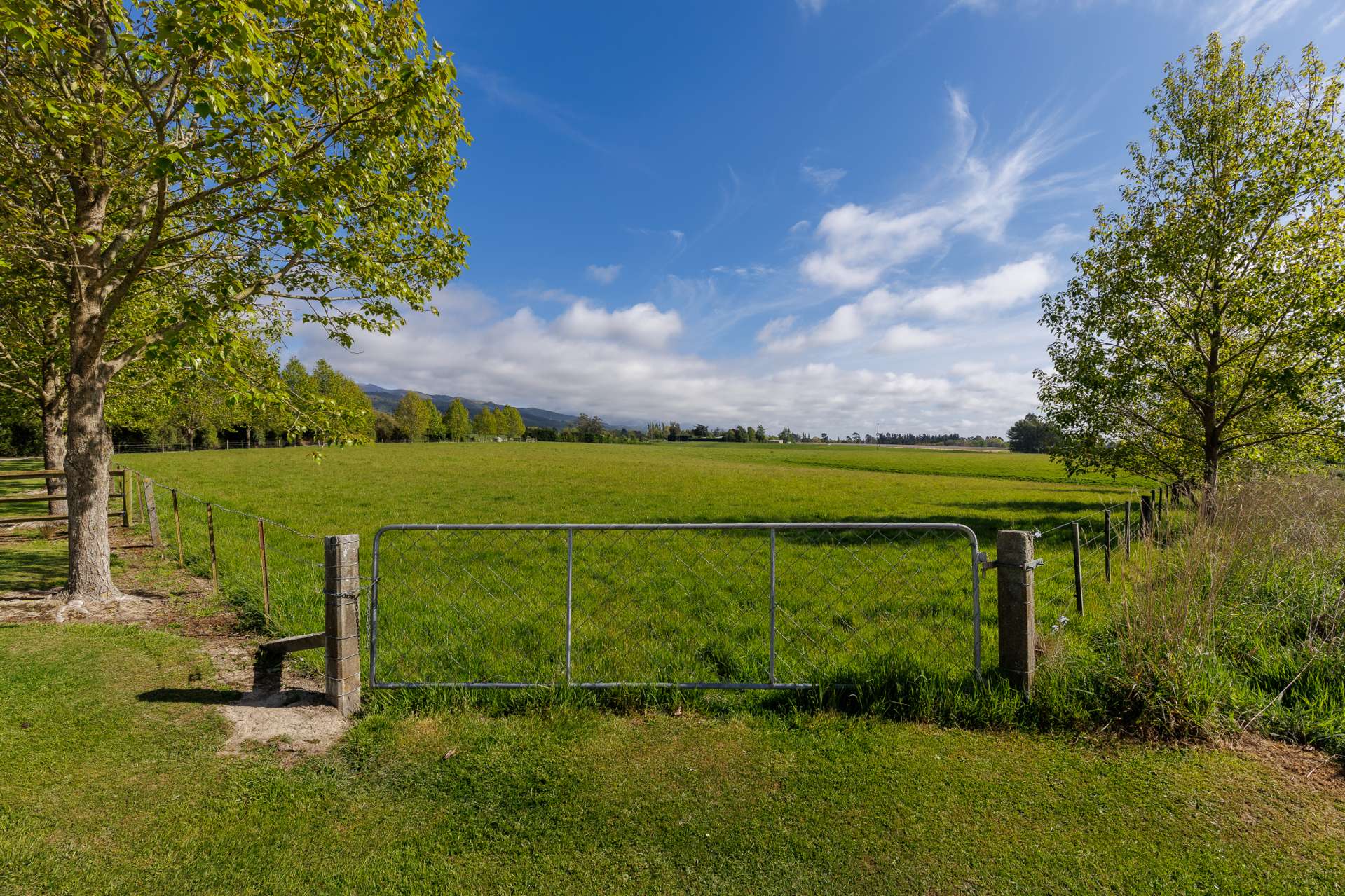 Kennards Road Waimate_0