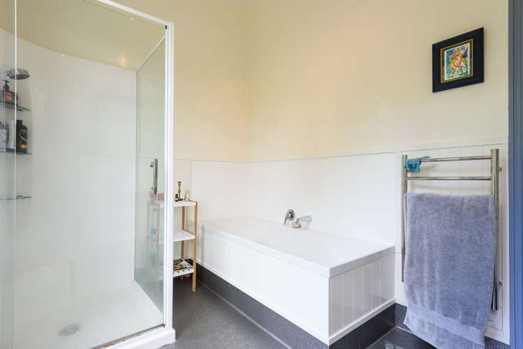 19 Devon Street Aro Valley_18