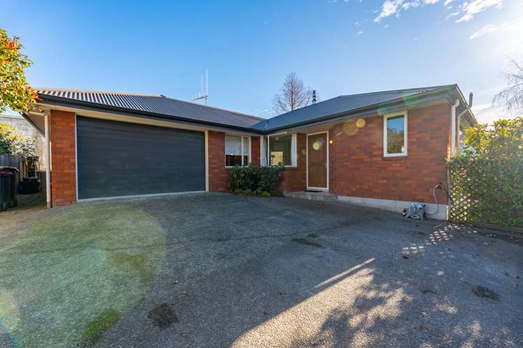 41a Maltby Avenue West End_14