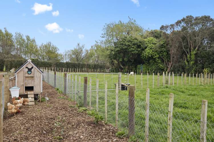 46a Kauri Road Onewhero_13