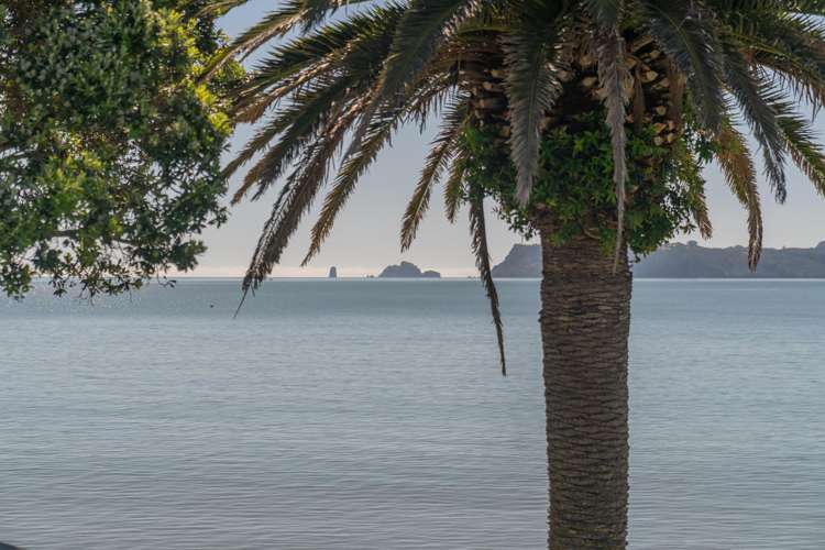 115 Buffalo Beach Road Whitianga_24