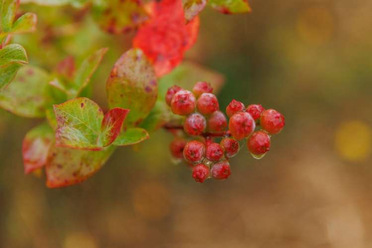 790 Pungaere Road Kerikeri Surrounds_31