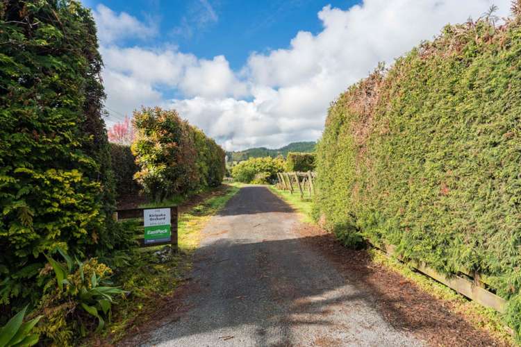 448 Ngunguru Road Glenbervie_20