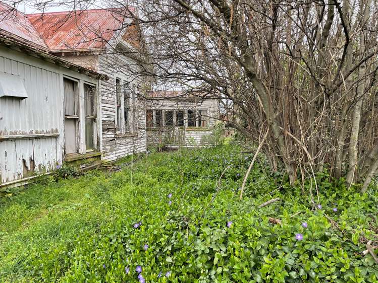 223 Dobson Street Hampstead_4