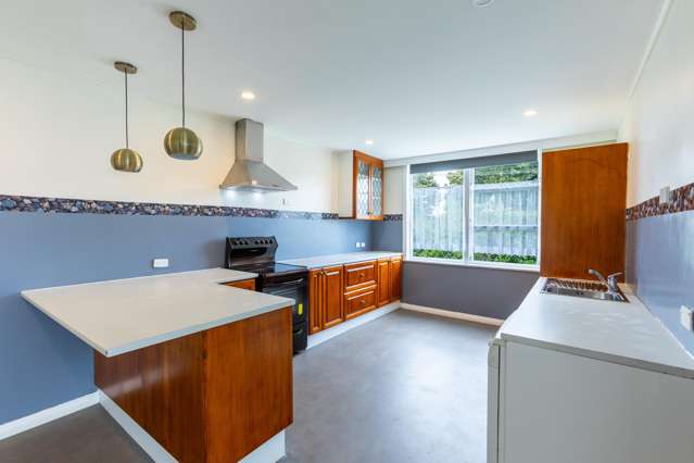 31 Ormond Street Woodville_2