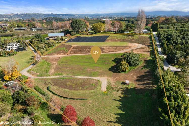 137 Lochhead Road Te Puna_9