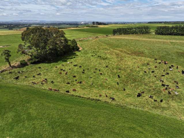 986 Downs Road South Edendale_2