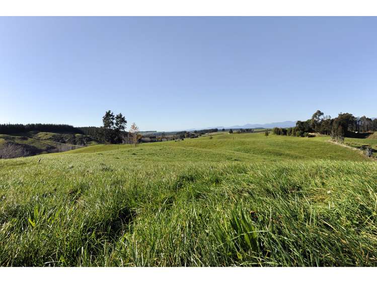 364 Rosedale Road Upper Moutere_15