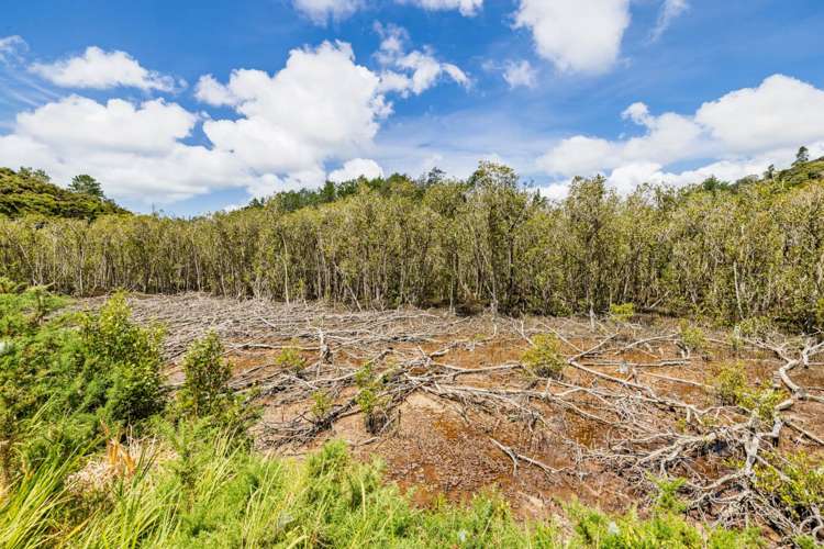 73 Pipiroa Road Okiato_18