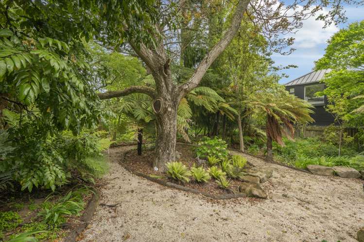 51b Iles Road Lynmore_24