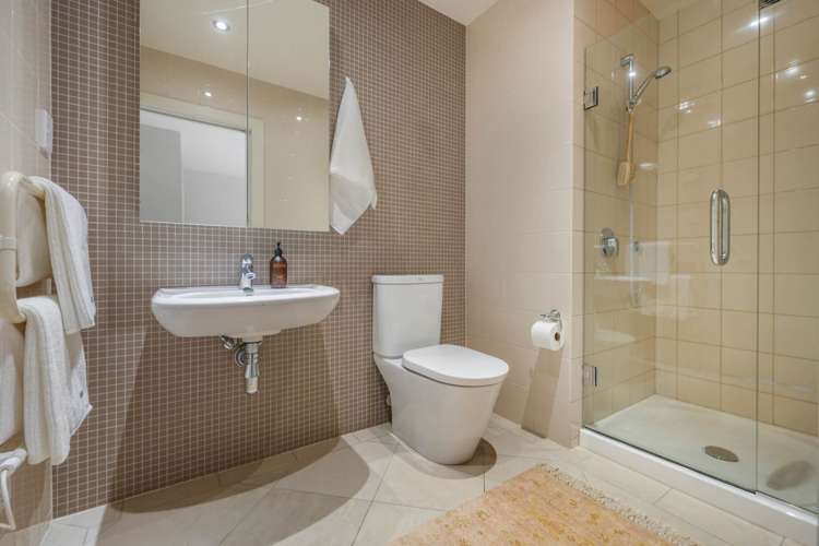 10D Birdwood Crescent Parnell_15