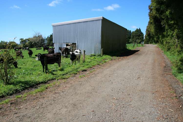 805 Dudley Road Upper Inglewood_11