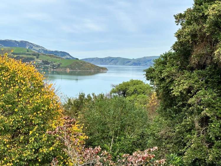 5 Monarch Drive Robinsons Bay_18