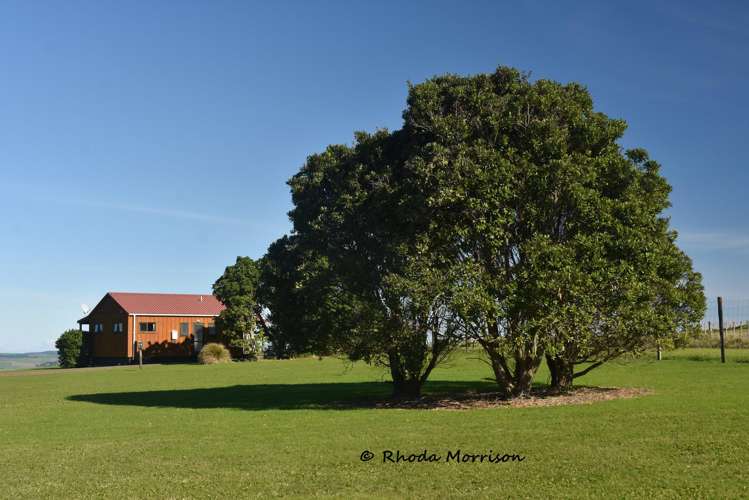 986 Tinopai Road Matakohe_58