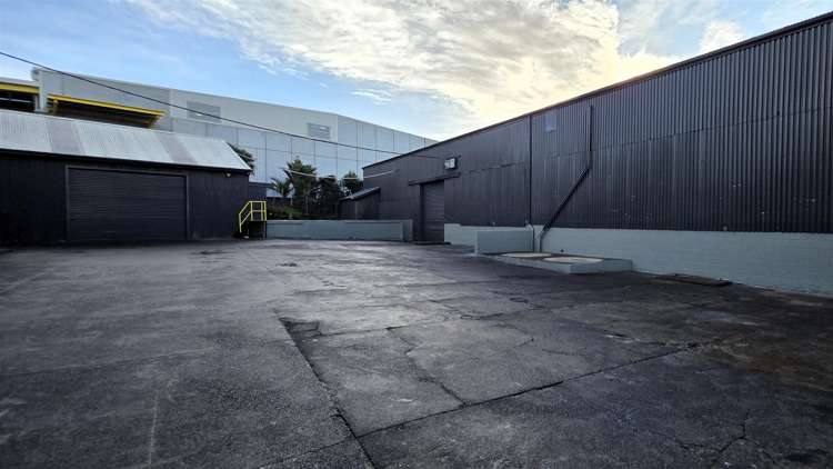 591 Rosebank Road Avondale_5