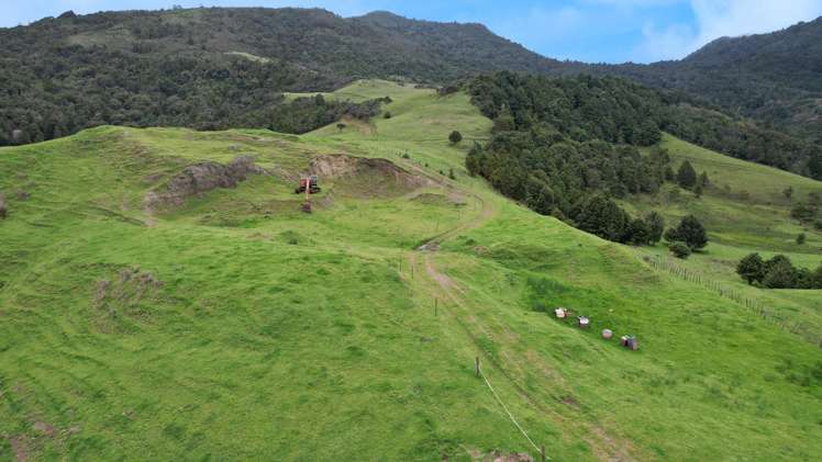 1896 Omana Road Pukehuia_9