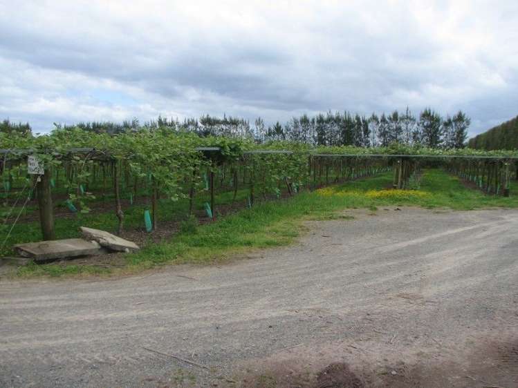 121b Western Drain Road Whakatane_5