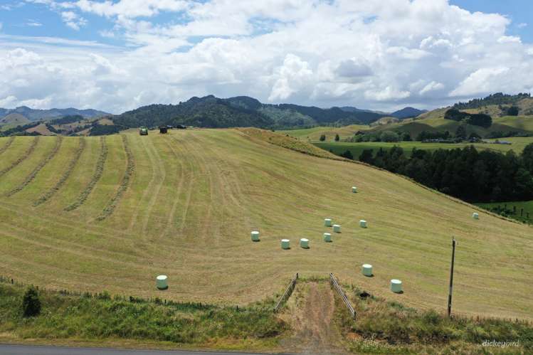 211 Waitetuna Valley Road Raglan_10