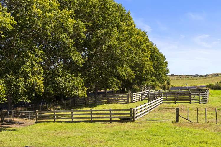 1761 Highway 22 Pukekawa_28