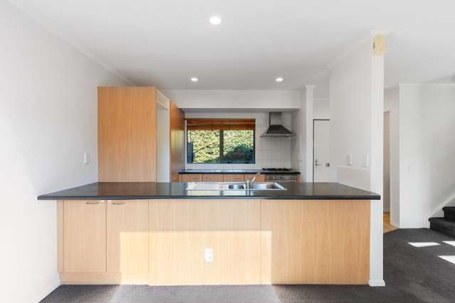 18S Hudson Street Ellerslie_4