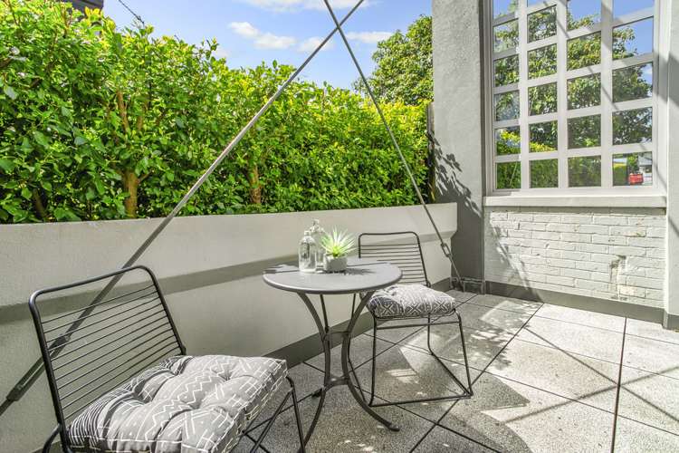 1/3 Wallingford Street Grey Lynn_7